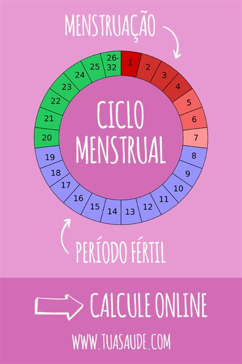 calculadora de menstruação-4